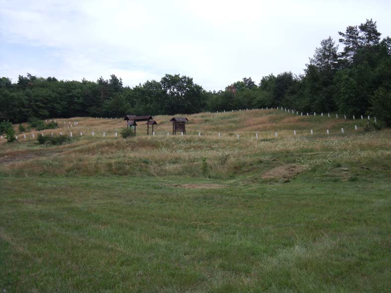 2009_07_12-28_136