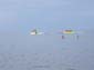 2009_07_12-28_094