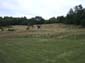 2009_07_12-28_136